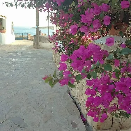 Thoosa's House Koufonisi * Koufonisia